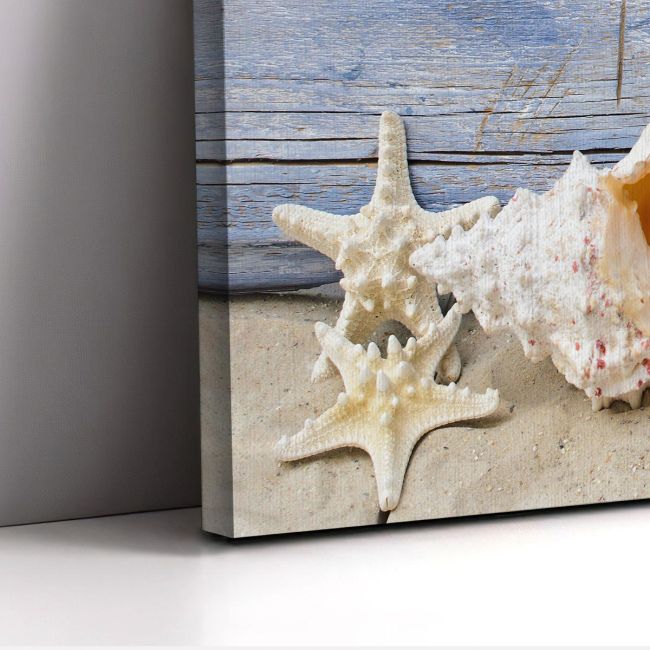 Canvas print Nautilus and starfish, panoramic