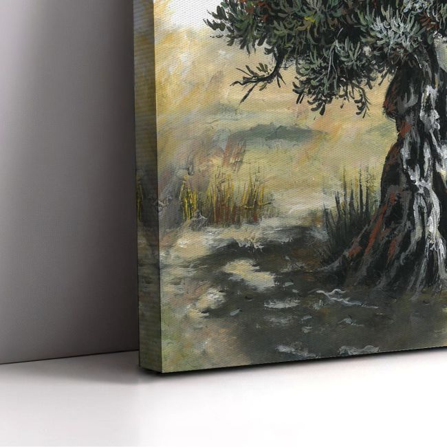 Canvas print Olive tree