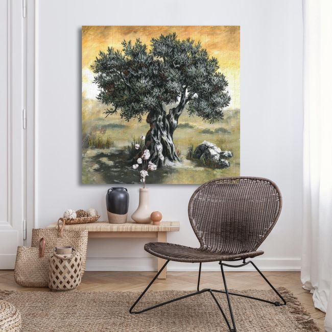 Canvas print Olive tree
