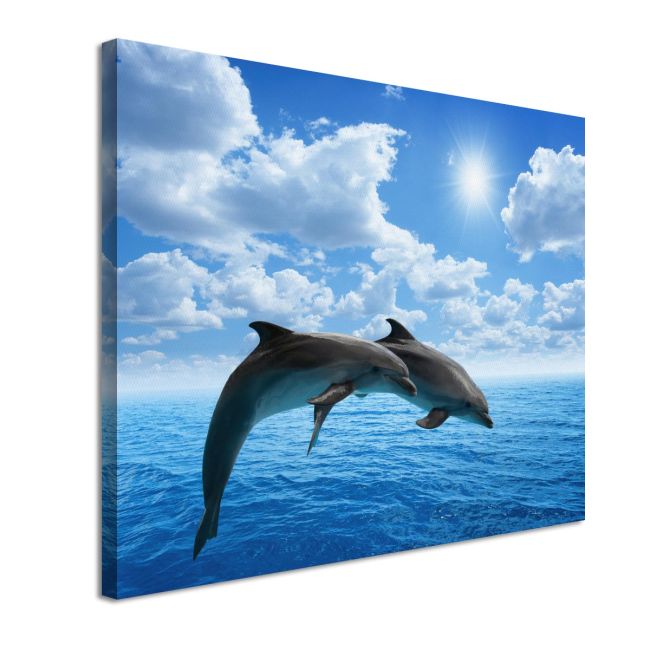 Πίνακας σε καμβά Dophins under the sun