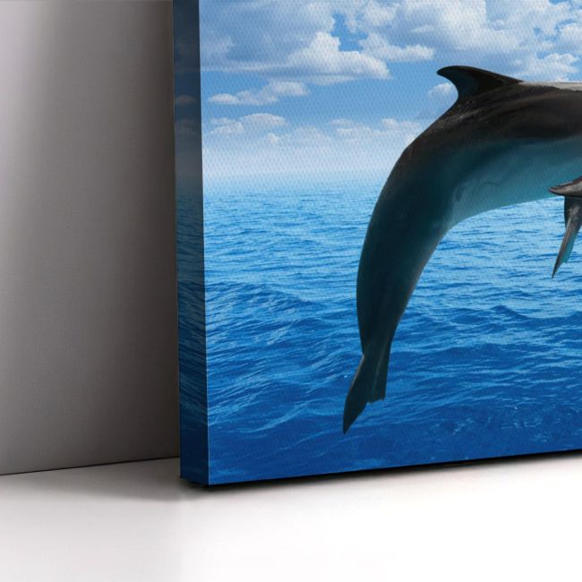 Canvas print Dophins under the sun