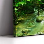 Canvas print Green brook