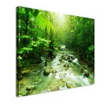 Canvas print Green brook