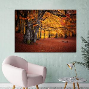 Canvas print Autumn colors forest