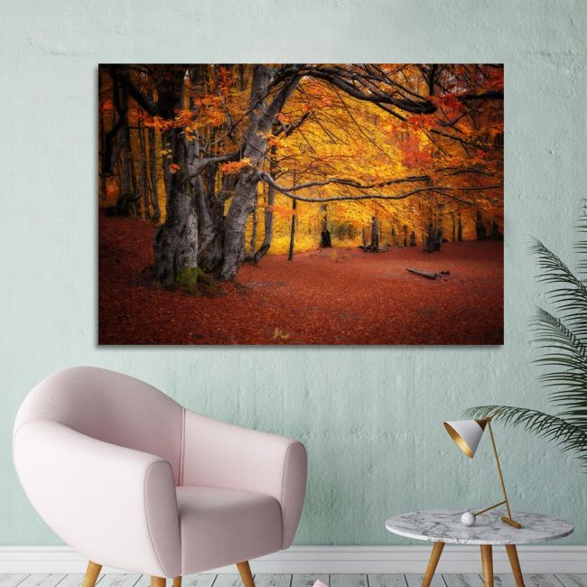 Canvas print Autumn colors forest