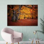 Canvas print Autumn colors forest