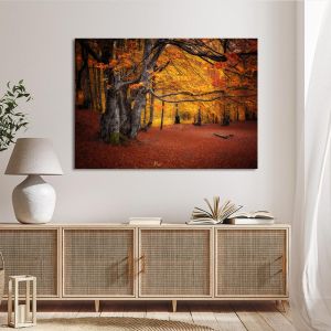Canvas print Autumn colors forest 2
