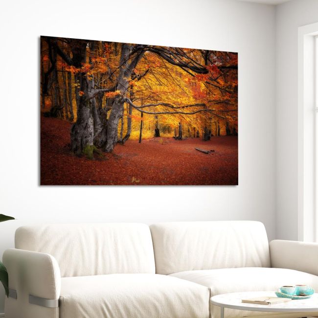 Πίνακας σε καμβά Autumn colors forest