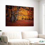 Πίνακας σε καμβά Autumn colors forest