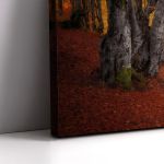 Canvas print Autumn colors forest