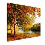 Canvas print Beautiful autumn painting