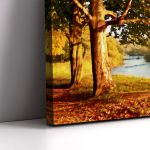 Πίνακας ζωγραφικής Beautiful autumn painting