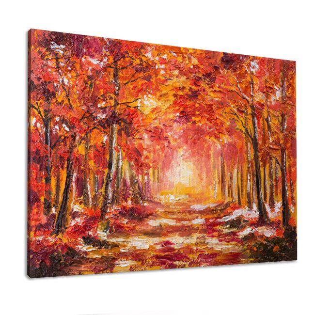 Canvas print Autumn forest, Colorful autumn forest
