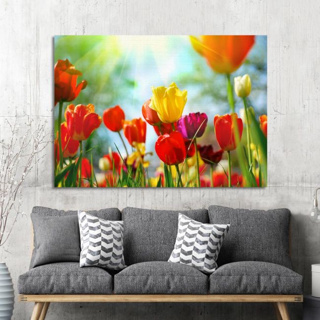 Canvas print, Tulip sunshine