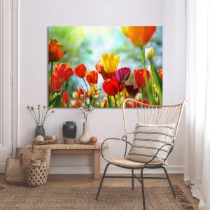 Πίνακας σε καμβά Τουλίπες, Tulip sunshine 2