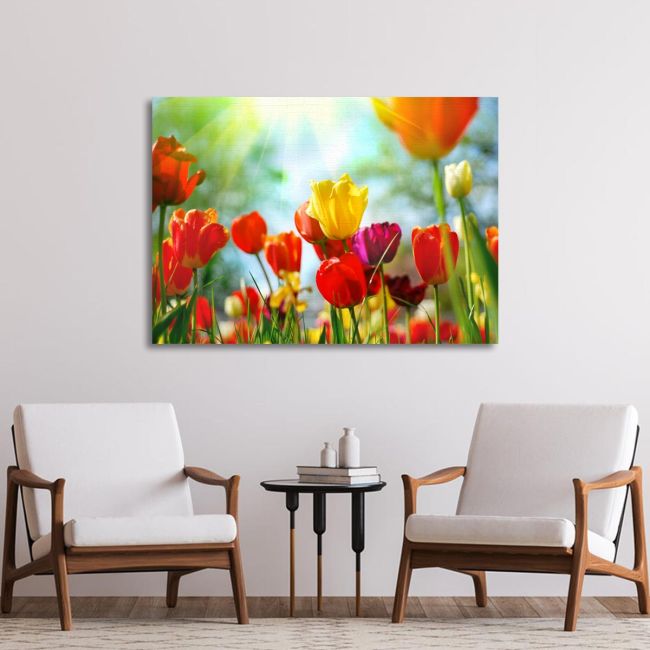 Canvas print, Tulip sunshine