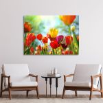 Canvas print, Tulip sunshine