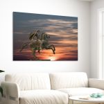 Canvas print Alexander the great, Thessaloniki
