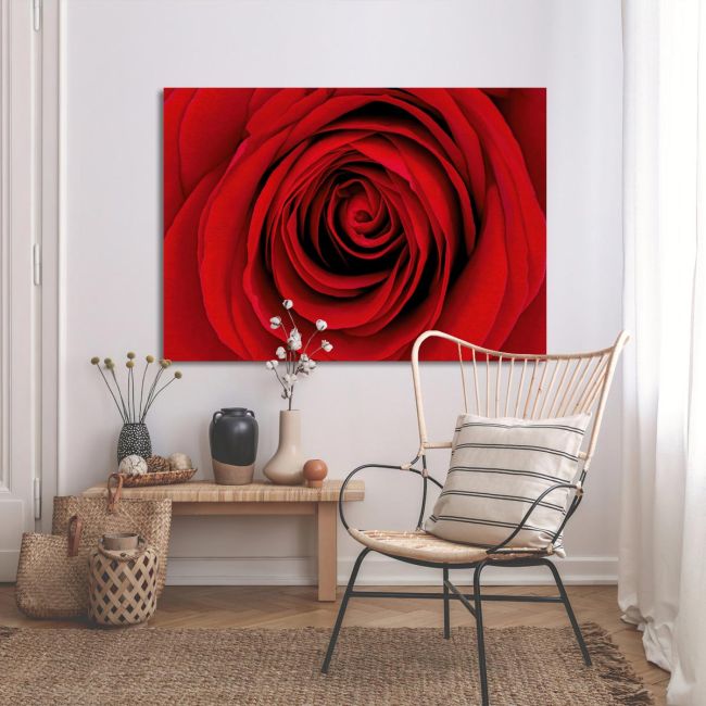 Canvas print Rose, Heart of red rose