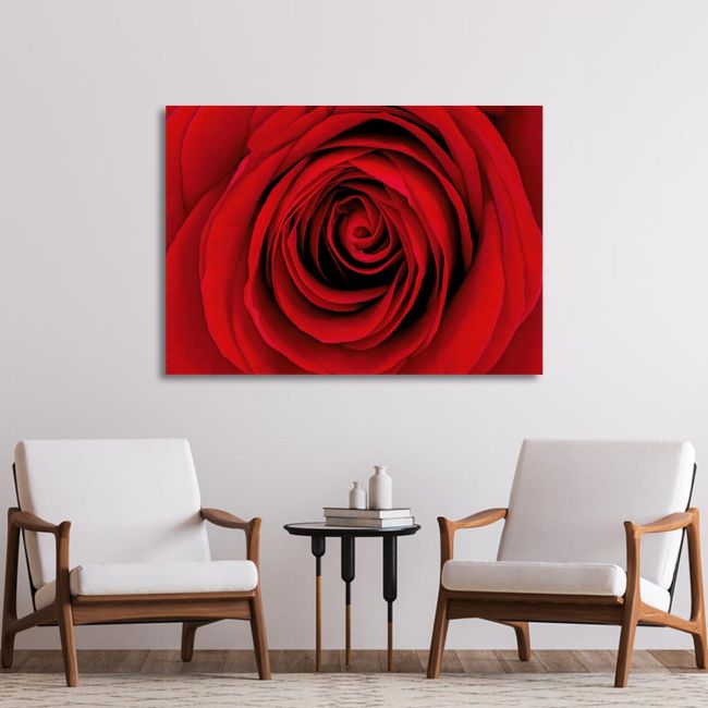 Canvas print Rose, Heart of red rose