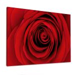 Πίνακας σε καμβά Τριαντάφυλλο, Heart of red rose