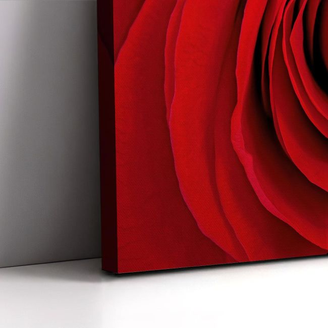 Canvas print Rose, Heart of red rose