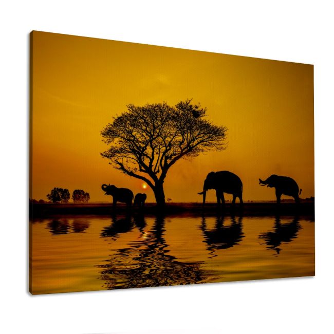 Canvas print African landscape