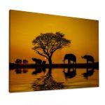 Canvas print African landscape