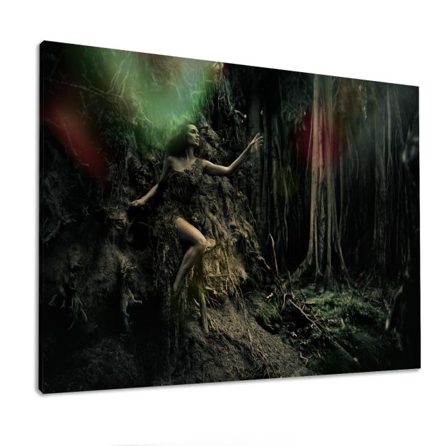 Canvas print Forest fantasies