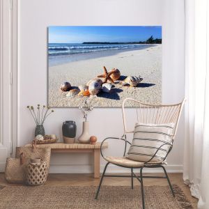 Canvas printShellfish 2