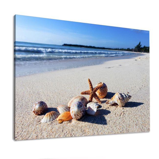 Canvas printShellfish