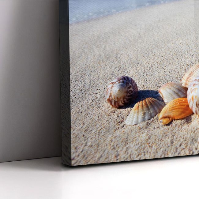 Πίνακας σε καμβά Κοχύλια στην παραλία, Shellfish