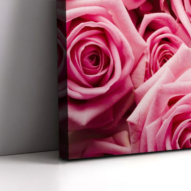 Canvas print Pink roses