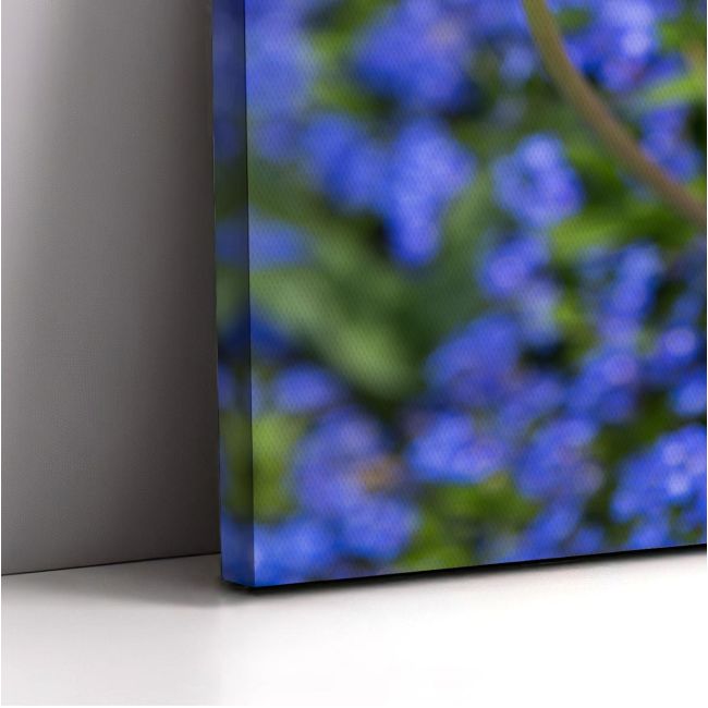 Canvas print Water drops