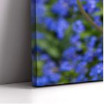 Canvas print Water drops