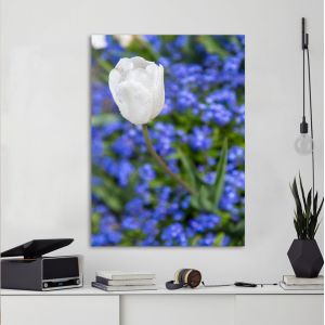 Canvas print Water drops