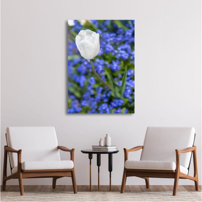 Canvas print Water drops