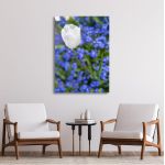 Canvas print Water drops