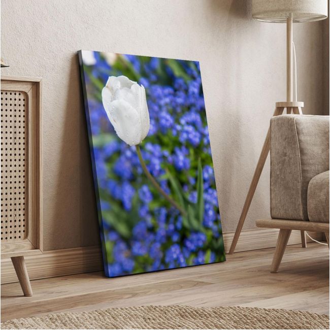 Canvas print Water drops