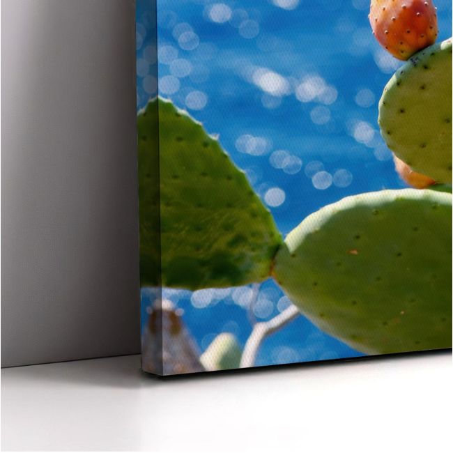 Canvas print Prickly pear