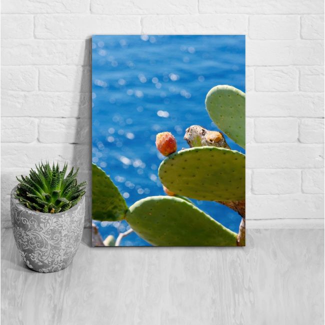 Canvas print Prickly pear