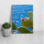 Canvas print Prickly pear