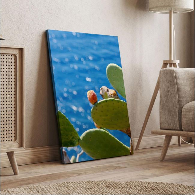 Canvas print Prickly pear