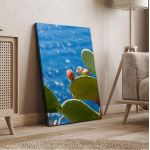 Canvas print Prickly pear