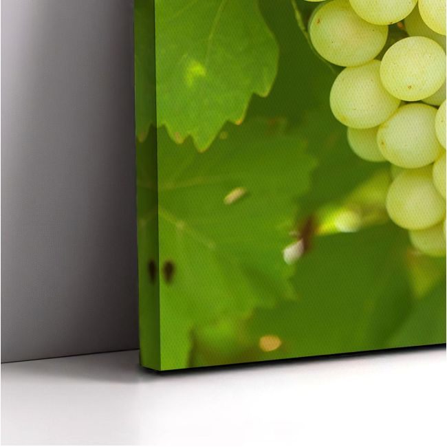 Canvas print Grapes
