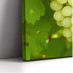 Canvas print Grapes