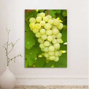 Canvas print Grapes