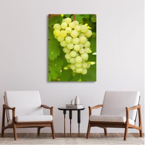 Canvas print Grapes 2