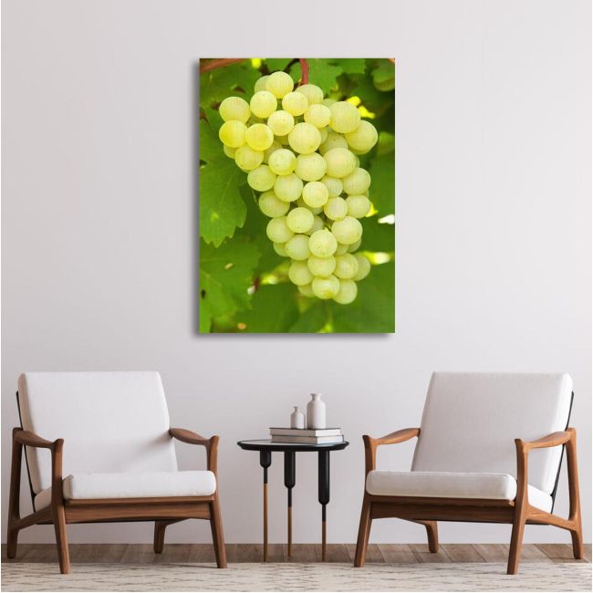 Canvas print Grapes