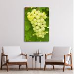 Canvas print Grapes